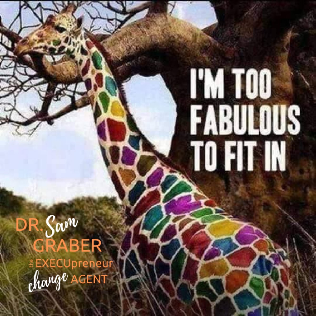 drsamgraber's tweet photo. Say it with me y'all..."I'm too fabulous to fit in!"

Excellent.  Now go about your business of being fabulous.  💜 https://t.co/xFPDBx4gBq