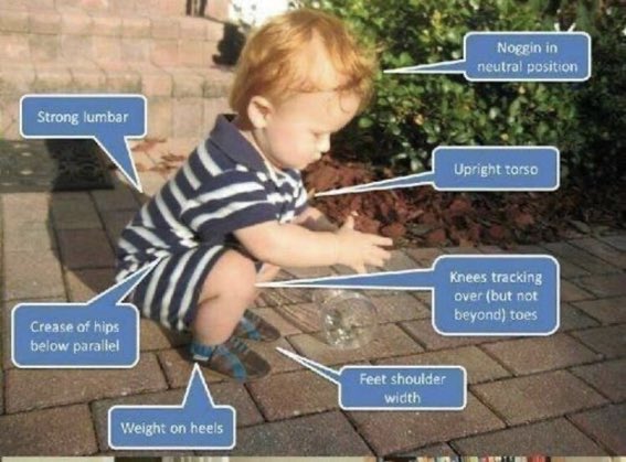 Like I've always said, toddlers have perfect squatting form.
