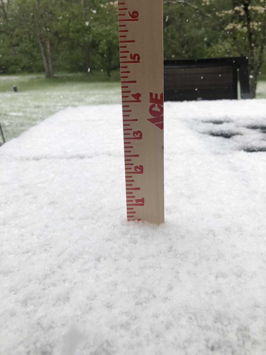 tvalwx's tweet image. 0.5” in Wildwood! ❄️ #STLWeather