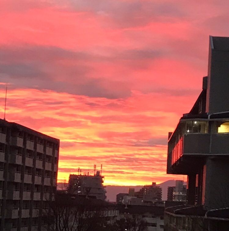 これを見た人は夕暮れの写真を貼る