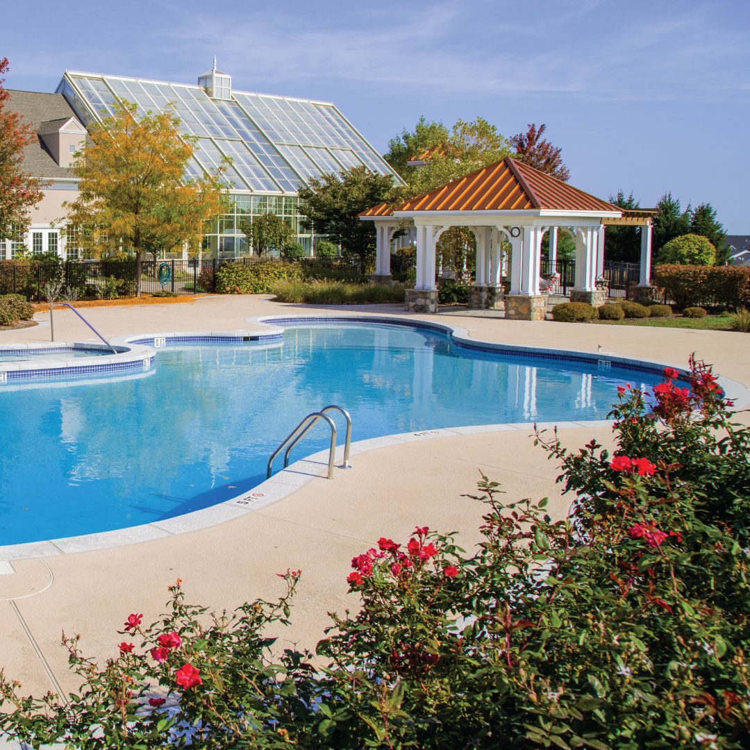 Spring has finally sprung! It’s time to take walks, plant flowers, or just sit outside in the warm weather. How do you like to enjoy the springtime? #americanpool #spring #warmweather #getoutside