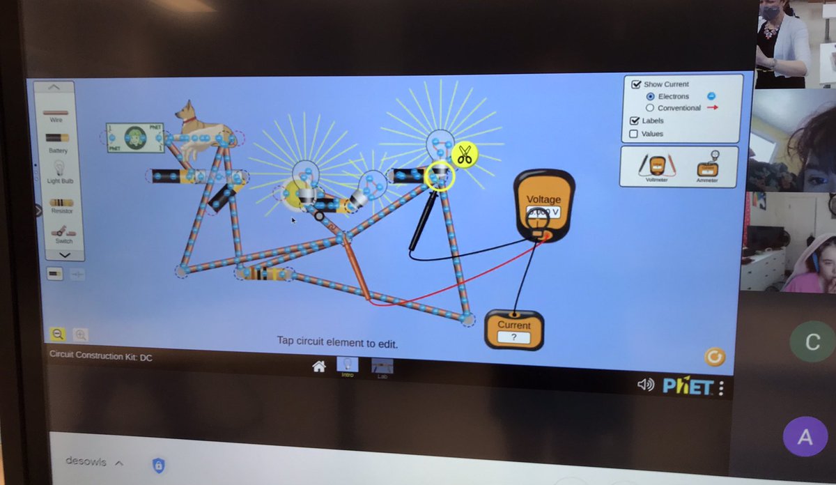 Peggy Koenig tweet media