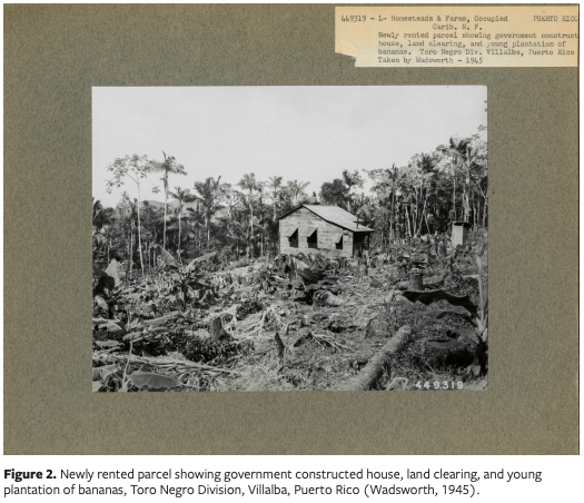 JLatAmGeog's tweet photo. Underdeveloped Ecologies: #PuertoRico's #ForestTransition and the Cultivation of Colonial Authority, by Chris N. Lesser
https://t.co/WF11OkqbqO https://t.co/LMIEwbYAyn