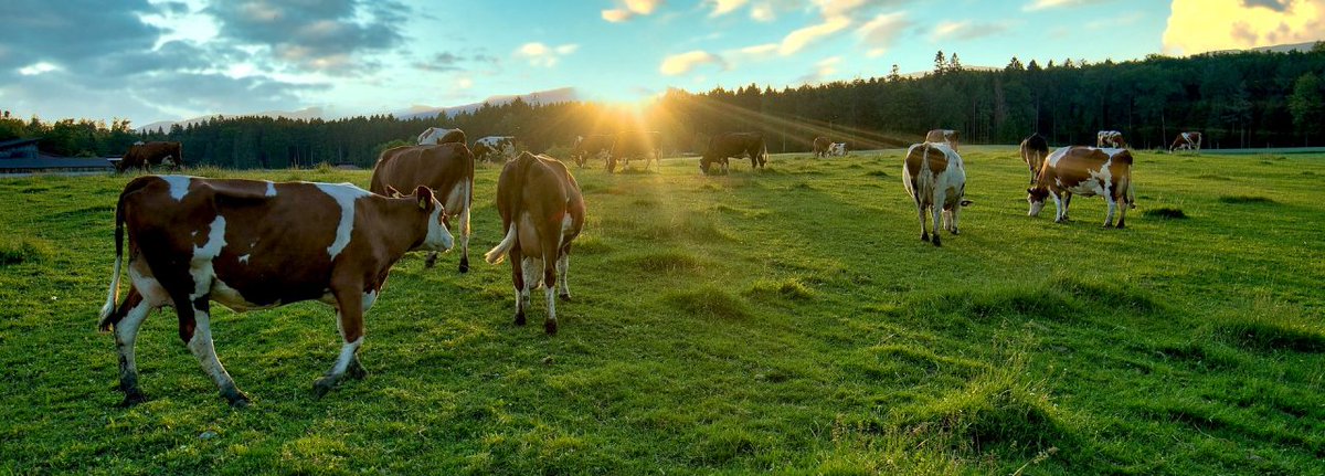 Celebrate #EarthDay with Dairy!  Dietitian and farmer, <a href="/EleshaErgleRDN/">EleshaErgleRDN</a> shares dairy's role in a sustainable food system.   thedairyalliance.com/blog/celebrate…