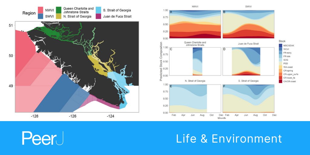 Jackie King (@jacquelynneking) on Twitter photo New research from <a href="/DFO_Pacific/">DFO Pacific</a> presents an new way to model seasonal changes in stock composition and abundance with an application to #Chinook #salmon Read the full <a href="/PeerJLife/">PeerJ - the Journal of Life & Environment</a> article bit.ly/3v3NfY7 #ConservationBiology #Ecology #Zoology New research from <a href="/DFO_Pacific/">DFO Pacific</a> presents an new way to model seasonal changes in stock composition and abundance with an application to #Chinook #salmon Read the full <a href="/PeerJLife/">PeerJ - the Journal of Life & Environment</a> article bit.ly/3v3NfY7 #ConservationBiology #Ecology #Zoology