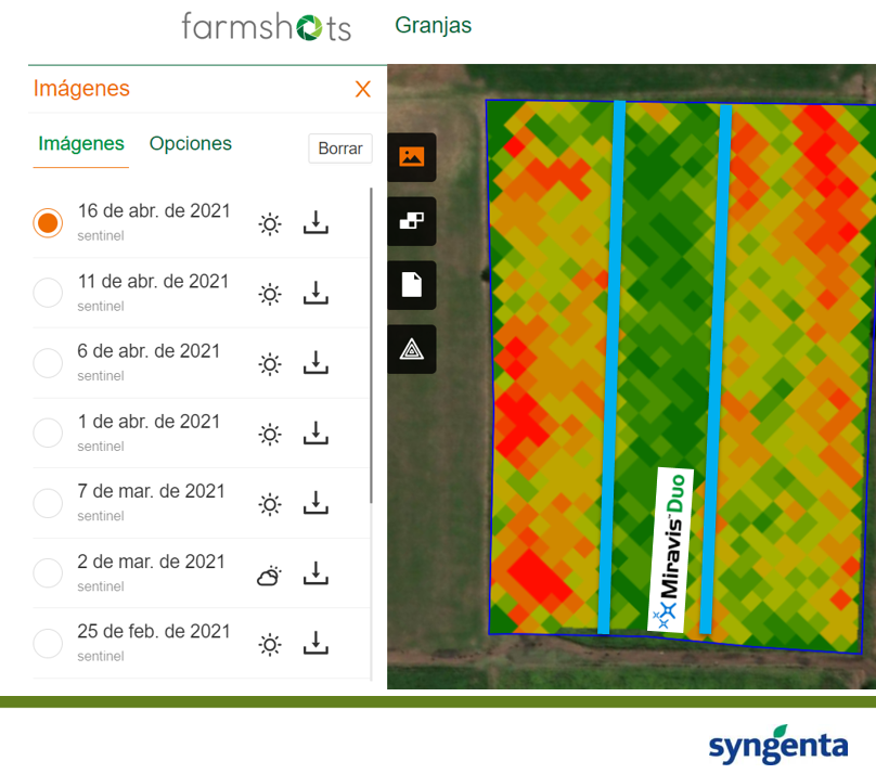 JuanpiCileiro's tweet photo. Pasan las horas, pasan los días ... y #LaSojaNoSeMancha
Lote de Soja en Lincoln, BsAs. 
Se aplicó #MiravisDúo en R3 el 11/02/21.
#Farmshots 
@grupolareja  
@Syngenta_ar https://t.co/gWKVDOH2Yg