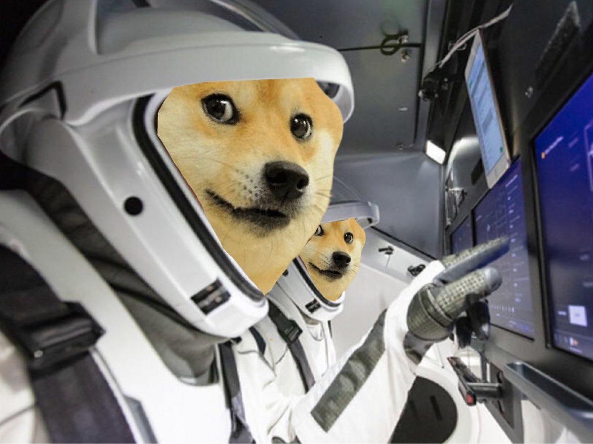 doraraymen's tweet image. DOGE bois preparing for launch! 🚀 🚀 🚀 TO THE MOON! #doge420 #DogeDay420 #DogeDay
