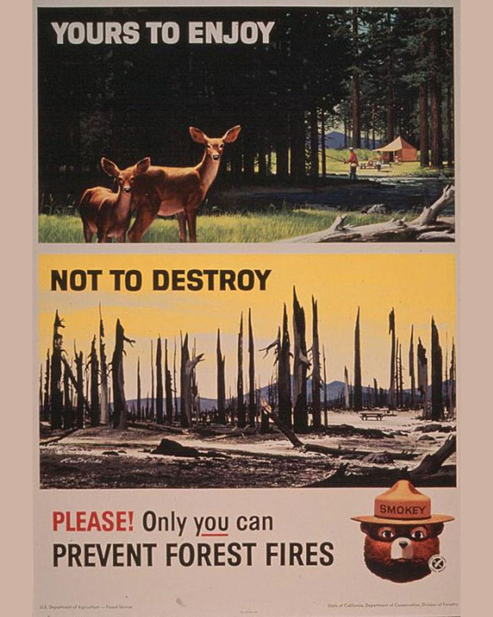 Wildfire seasons are more intense than they used to be, so environmental education is more important than ever! Celebrate Environmental Education Week by visiting SmokeyBear.com to learn more about the impact of human-caused wildfires and how to prevent them. #EEWeek