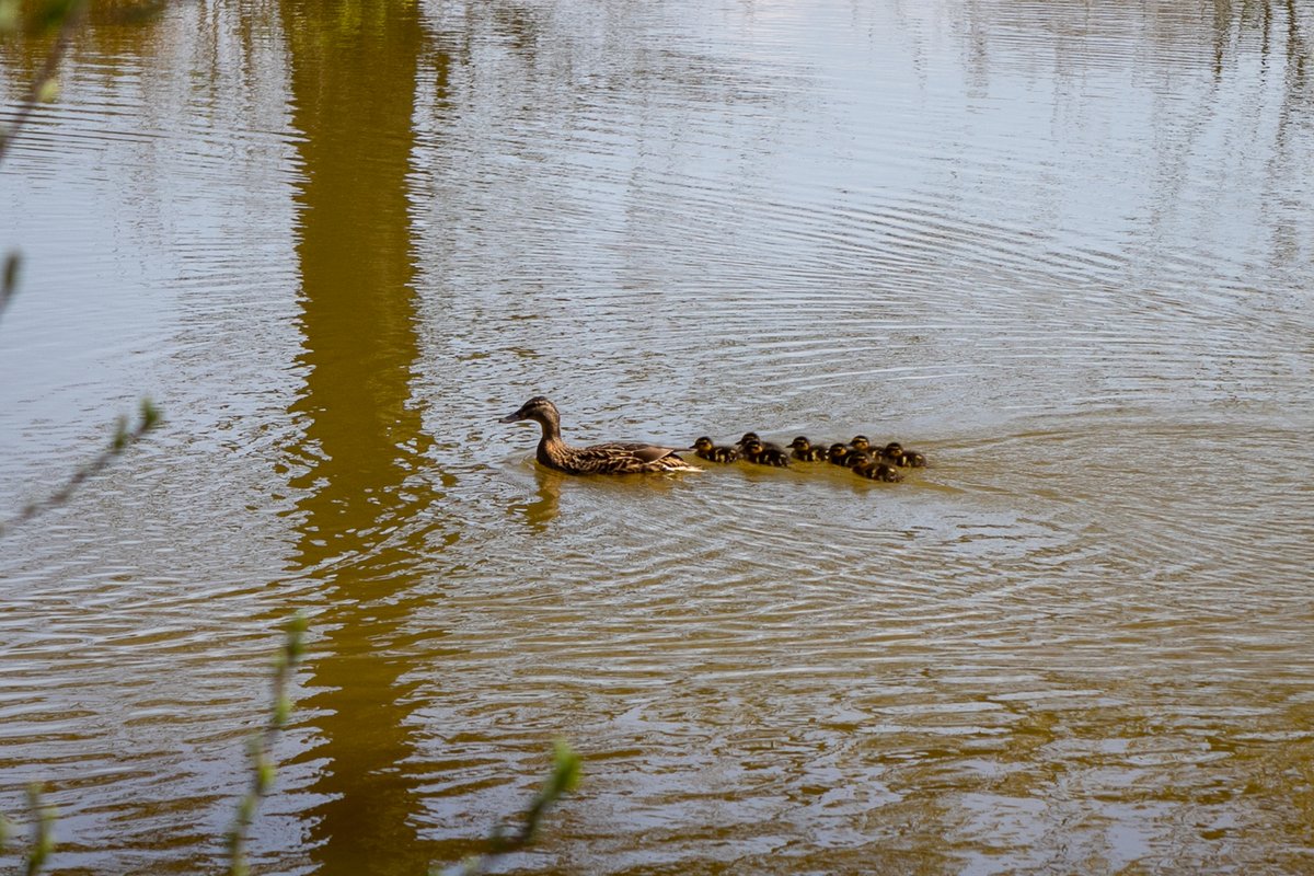 Claygate tweet media