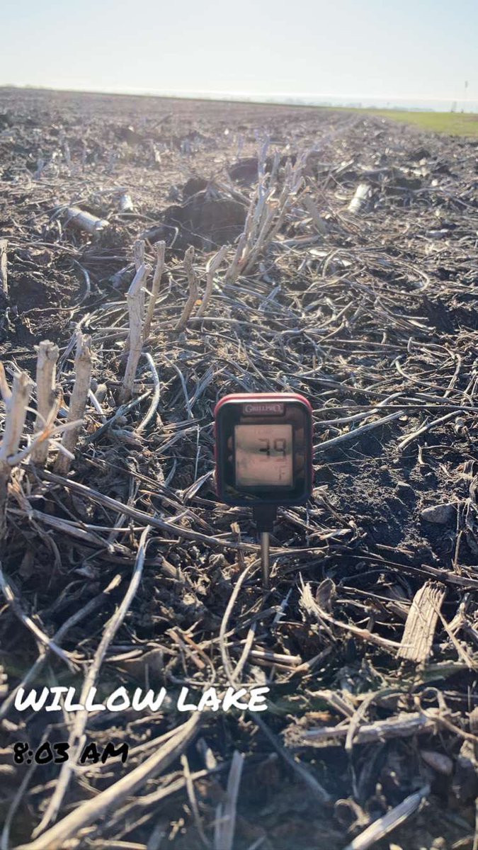 regan_1215's tweet image. Soil temps took a sharp down turn the last few days. We’re still holding out for that upward warming trend...Patience is still a virtue right?? #Plant21 @DKAS_Minnesota