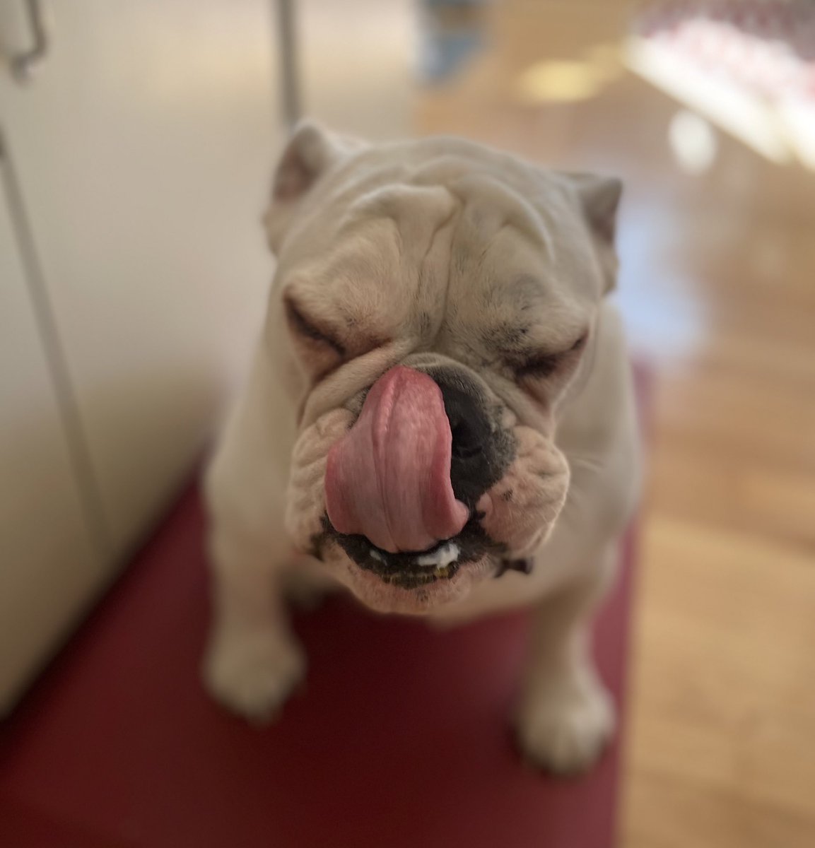 #TongueOutTuesday too much yogurt 😂