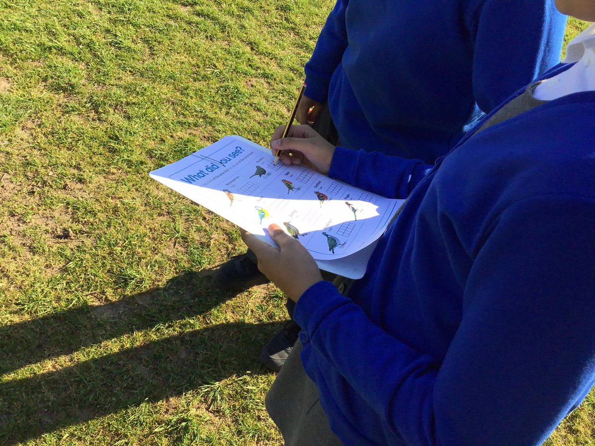 HolbrookschoolR's tweet photo. A brand new term means a brand new book to learn about! Year 6 have started looking at King of the Sky by @nicolakidsbooks and #LauraCarlin. We have been outside observing and drawing the birds we could see using charcoal @clpe #OutdoorLearning https://t.co/ydidCgMAe4
