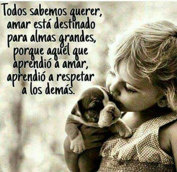Alesidenew's tweet photo. Buen día everybody.
Día 2 de reto
#YoPuedo
#CambiosDeVida
Amo a darle solo por hoy 🌺 https://t.co/XUjUnVpQWF