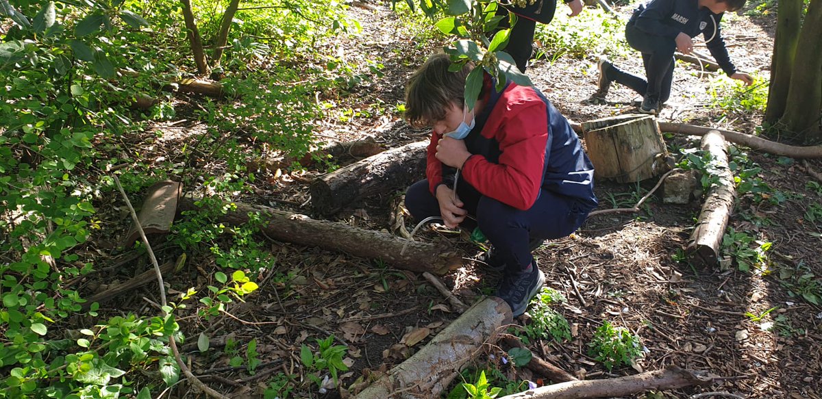 FinboroughSch's tweet image. Year 10 have been out woodlice collecting; they are going to observe their behaviour in the choice chambers which have different conditions in each section.
#finboroughscience #activescience #bebackbetter