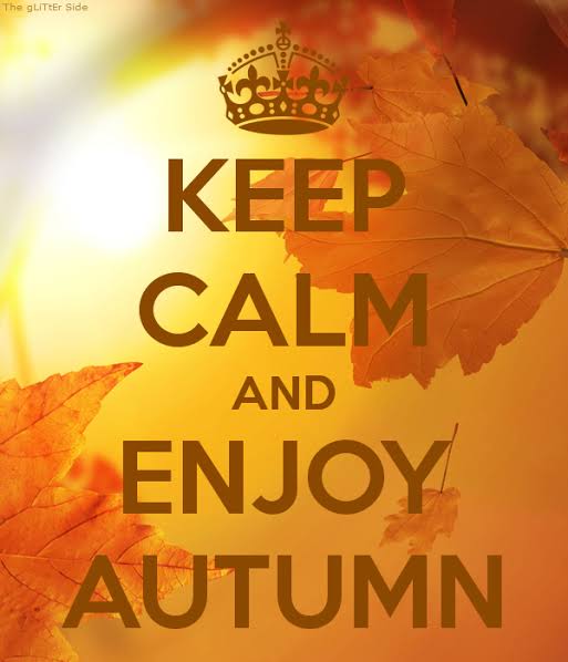 SETECENTRAL's tweet image. 