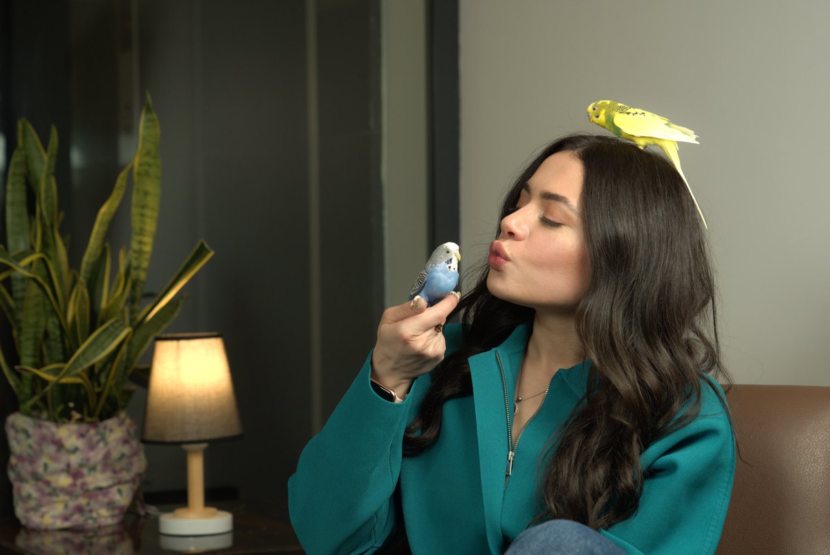 Since childhood, I have had a great love for animals, so pets have always lived in our house. And today I want to introduce you to my parrots Chip and Dale! Aren't they so sweet? Who has pets? Share their names in the comments 🐶🐱🐹🦜
#teamefendi #eurovision2021 #eurovision #esc