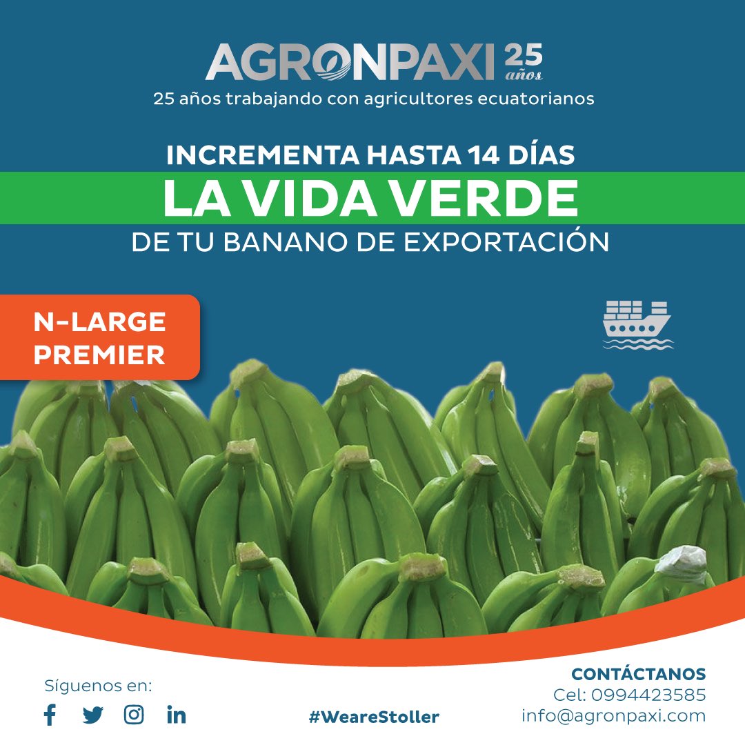 agronpaxi's tweet photo. Asegura la vida verde en tu banano de exportación. 

NLarge Premier retarda la maduración, asegurando que tu producto mantenga la calidad.
NLarge Premier, tu mejor aliado en la exportación de tu cultivo de banano.

#Banano #Agronpaxi #Maduracion #Ecuador #Exportacion #Stoller https://t.co/nLooAZG7W5