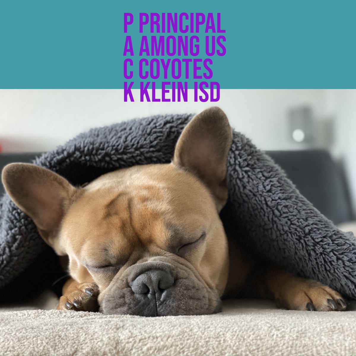 Celebrating #PoetryMonth with 2nd graders! So proud of their creativity! <a href="/KohrvilleLib/">Kohrville Library</a> <a href="/KohrvilleKISD/">Kohrville Elementary</a>  <a href="/KleinDigiLearn/">Klein ISD Digital Learning</a> #AdobeEduCreative