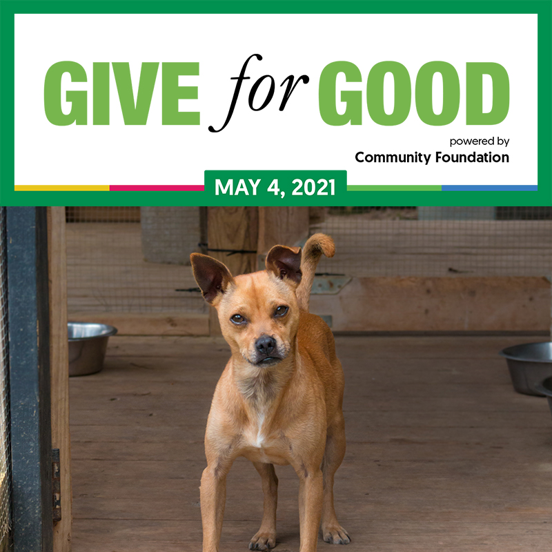 Peanut is here to share that early donations start today! Donations through Give for Good allow us to continue helping dogs like Peanut. Head to giveforgoodnla.org/PetSavers and donate today! Thank you for your support!
#giveforgood #G4G #nonprofit #rescuedog #shreveport #petsavers