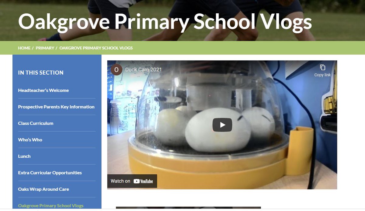 OGSPrimary's tweet photo. We are very eggcited about the arrival of 5 duck eggs in Foundation today!  We hope to see some ducklings hatching later this week. Duck Cam 2021 is now live on our website : https://t.co/MrBazL1qS7 https://t.co/Odm8JcakST