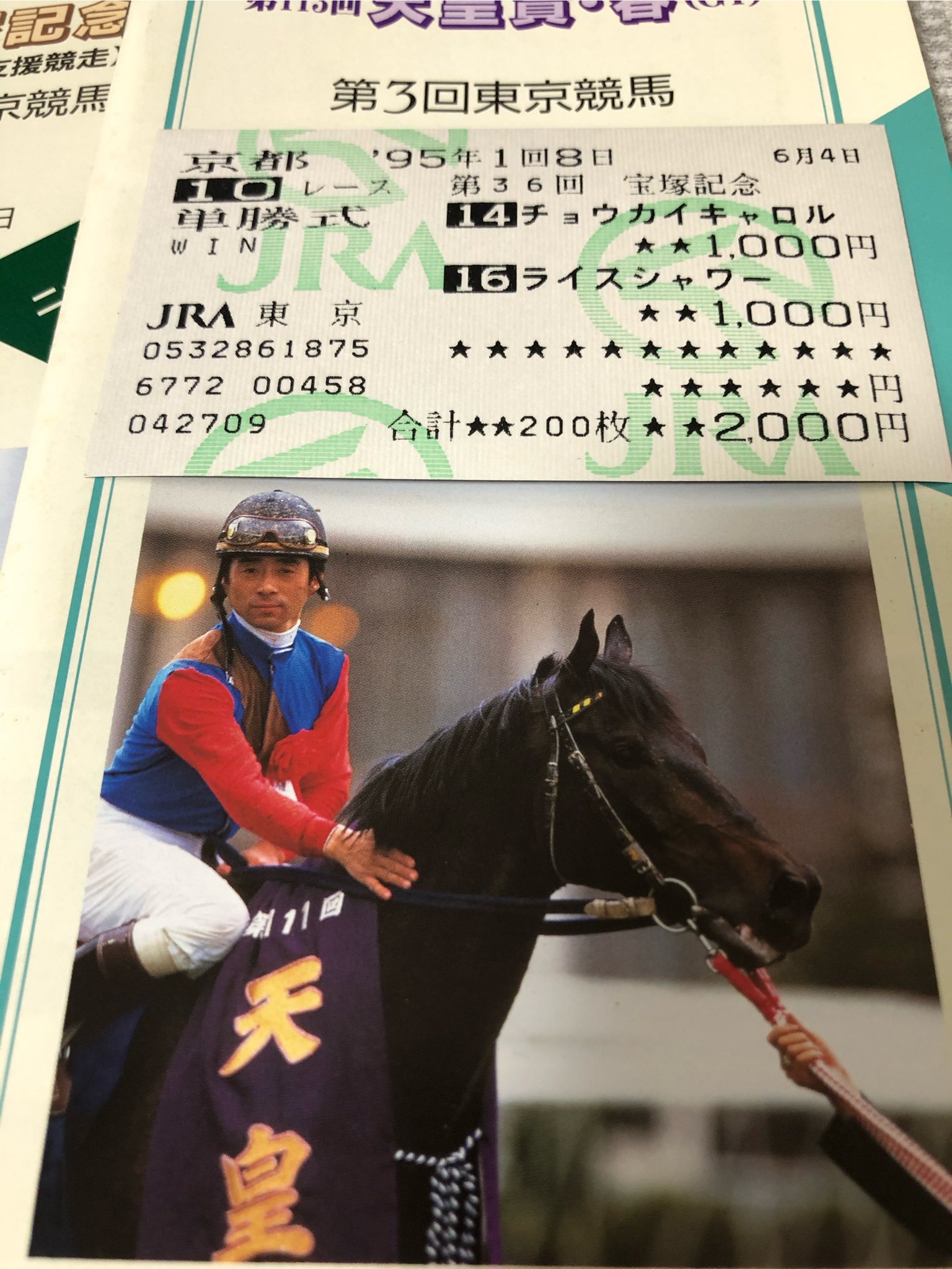 青熊 ヤバいのもあった ライスシャワーがその生涯の時間を止めた宝塚記念の単勝馬券 当然ハズレな訳だけどこんな馬券捨てられないよね 他にも長いスランプから復活した時の天皇賞の応援馬券やら結果的にフジキセキのラストレースとなった弥生賞の現地馬券