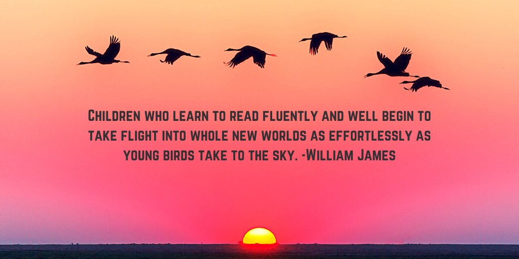2RobinLyons's tweet photo. Children who learn to read fluently and well begin to take flight into whole new worlds as effortlessly as young birds take to the sky. -William James
#tuesdayquotes #tuesdayfeels #readtokids #readtoyourkids #raisingareader #childrenwhoread #littlebookworm https://t.co/6e3XfDEJA7