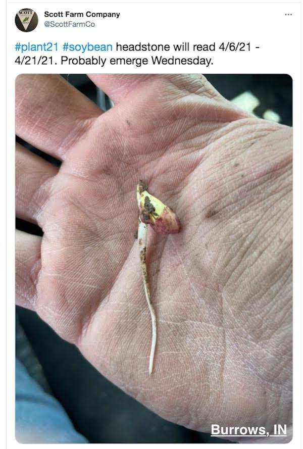 FarmTank's tweet photo. FarmTank Tweet of the Day!

Congrats to @ScottFarmCo @NKY_Corngrower @JeffBullerman and @FeedmanJustin for being featured in @KevinVanTrump report! 

#FarmTank #FarmTankFriday #VTR #Corn #Agriculture #Soybean #AgTwitter #wheat #plant21 @JVTknows https://t.co/mU5gR42sSe