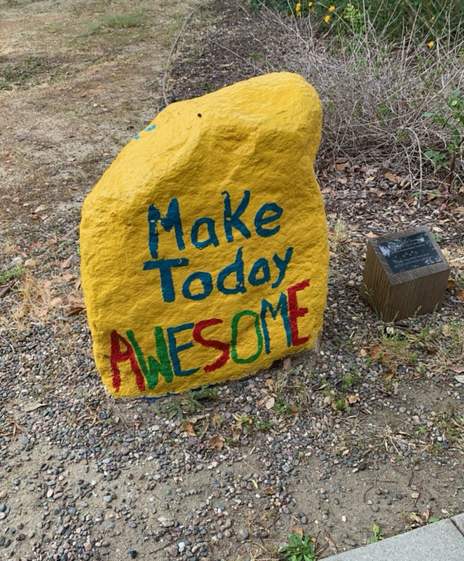 Painted Rock Panthers (@PaintedRockPUSD) / Posts / X