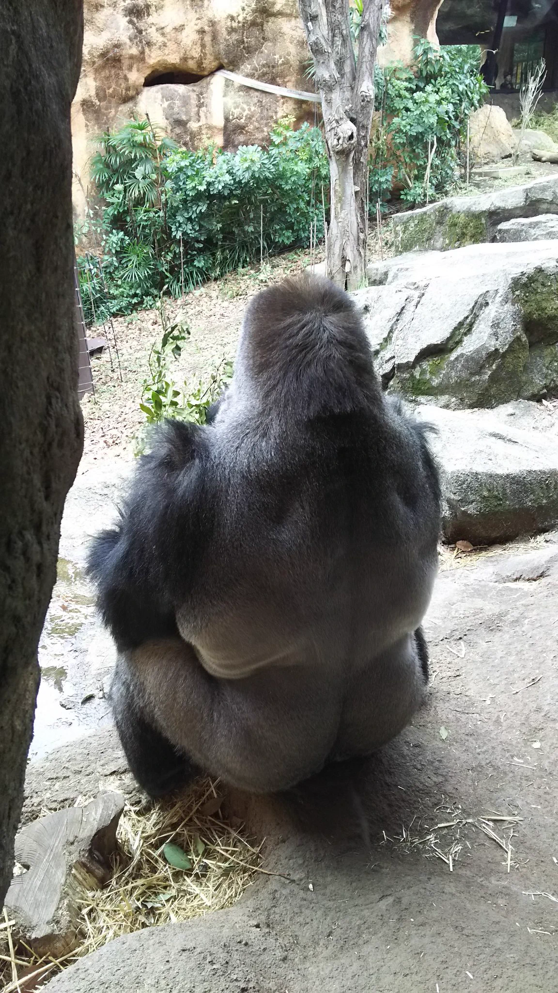 @kiri_manager 背中で語ります👍️ 