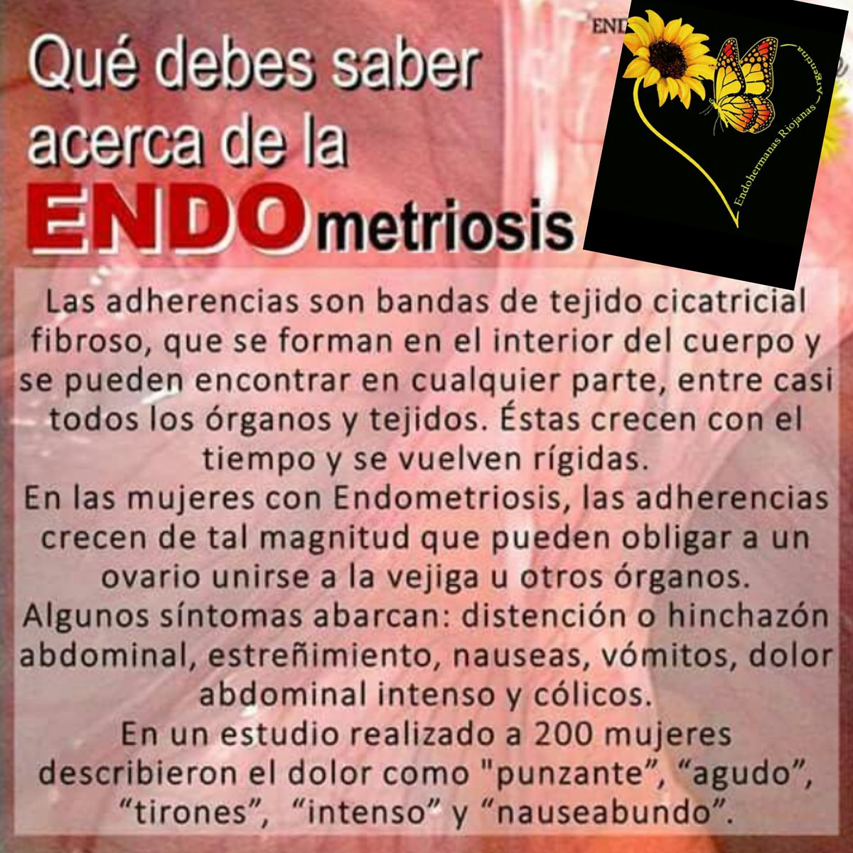 ERiojanas's tweet photo. NOS INFORMAMOS!!!
#ENDOMETRIOSIS
#ENDOHERMANASRIOJANAS
#SIDUELENOESNORMAL
#LEYDEENDOMETRIOSIS https://t.co/D607JAndo5