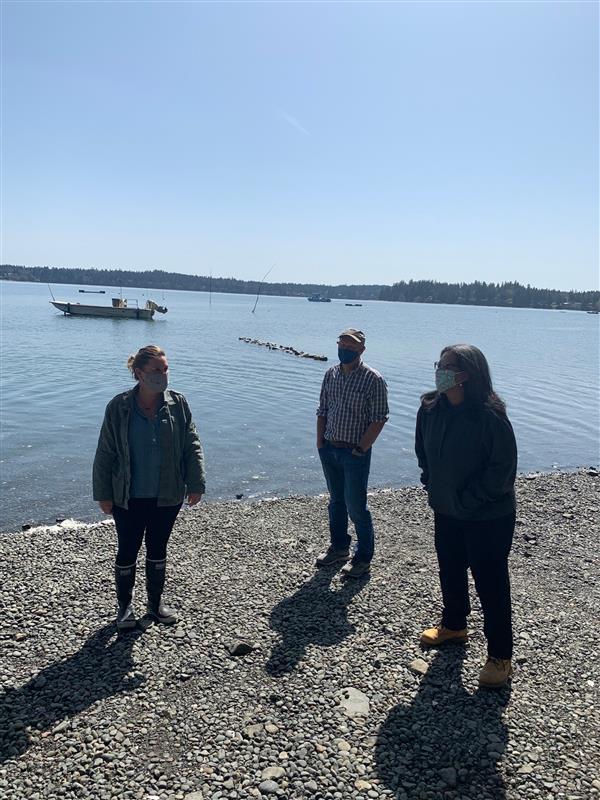 For decades, businesses like <a href="/chelseagems/">Chelsea Farms</a> &amp; <a href="/taylorshellfish/">Taylor Shellfish</a> have provided amazing shellfish to #WA &amp; the entire PNW while powering the local economy in our communities by employing hundreds of residents. A big thank you for showing me around their incredible #aquaculture farms!