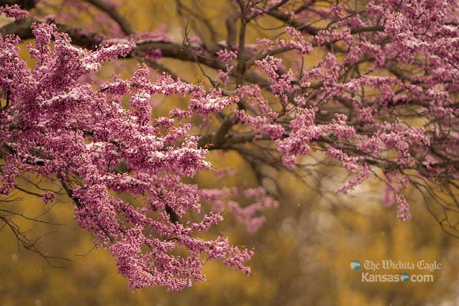 It's spring in Kansas. #kswx