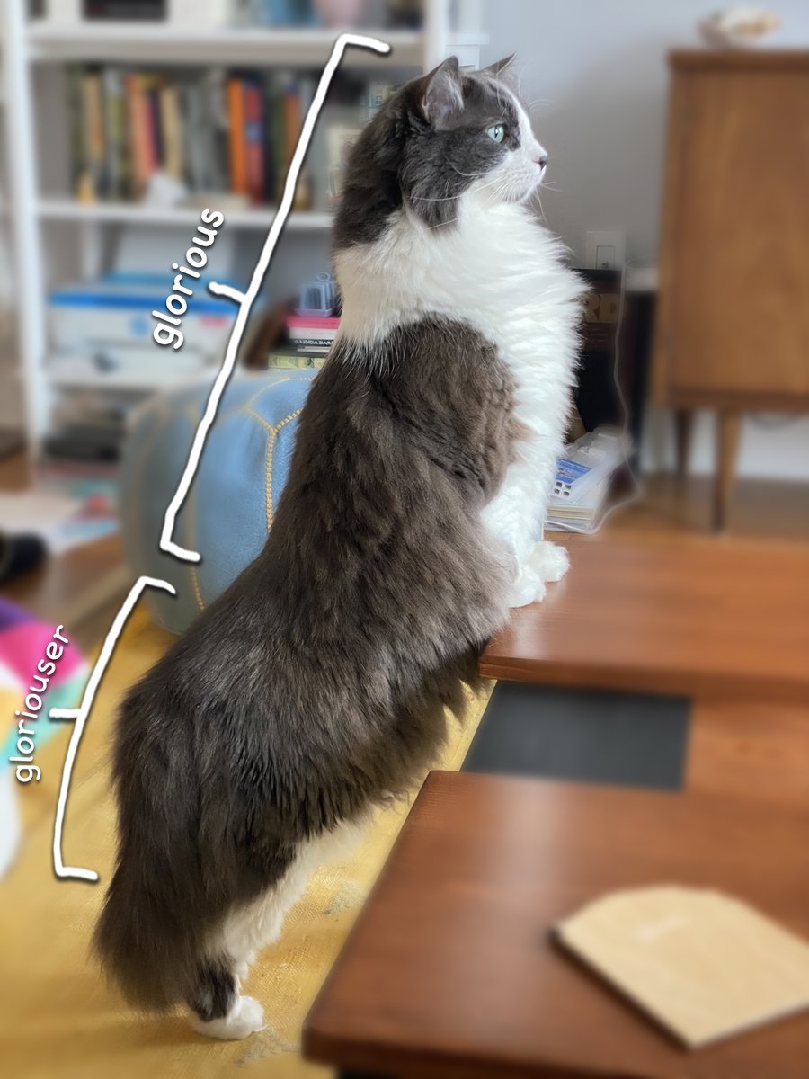 <a href="/ohheygreat/">Leah Reich</a>