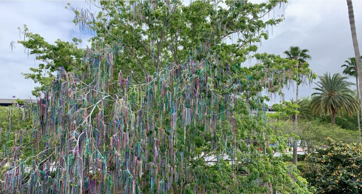 katiebillie_'s tweet image. The challenge for photography club: interesting Landscape pictures. They delivered as usual! #62Learns #62ICS #EveryoneCanCreate #AppleEDUChat