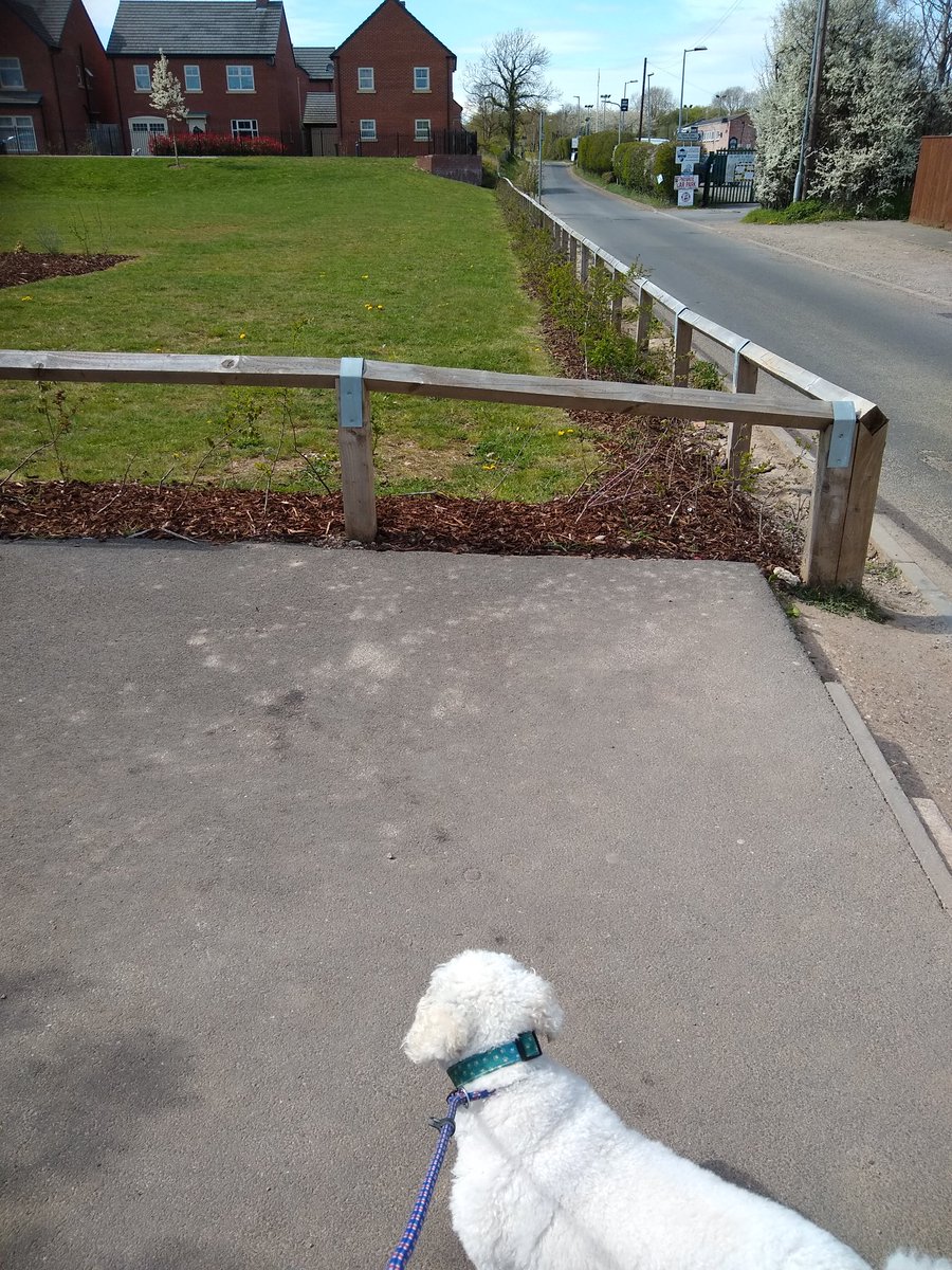 mikejelfs's tweet image. Amazing how #Whetstone #Leicestershire manages to have a number of #Cyclepaths that fail to reach the village properly! #VoteGreen #GreenFuture and let's sort this out!