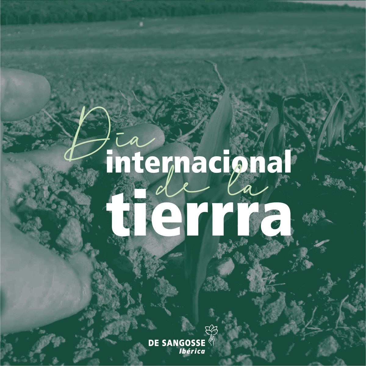 DE SANGOSSE IBÉRICA tweet media