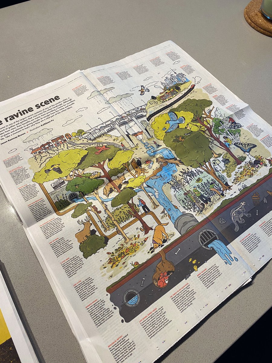 Kathleen Fu (@urbsvidi) on Twitter photo Had the pleasure of illustrating Toronto’s ravine system for <a href="/globeandmail/">The Globe and Mail</a> this past Saturday. “What we usually imagine as unsoiled wilderness is actually constantly being changed by urbanization, non-native species and pollution”. #editorialillustration Had the pleasure of illustrating Toronto’s ravine system for <a href="/globeandmail/">The Globe and Mail</a> this past Saturday. “What we usually imagine as unsoiled wilderness is actually constantly being changed by urbanization, non-native species and pollution”. #editorialillustration