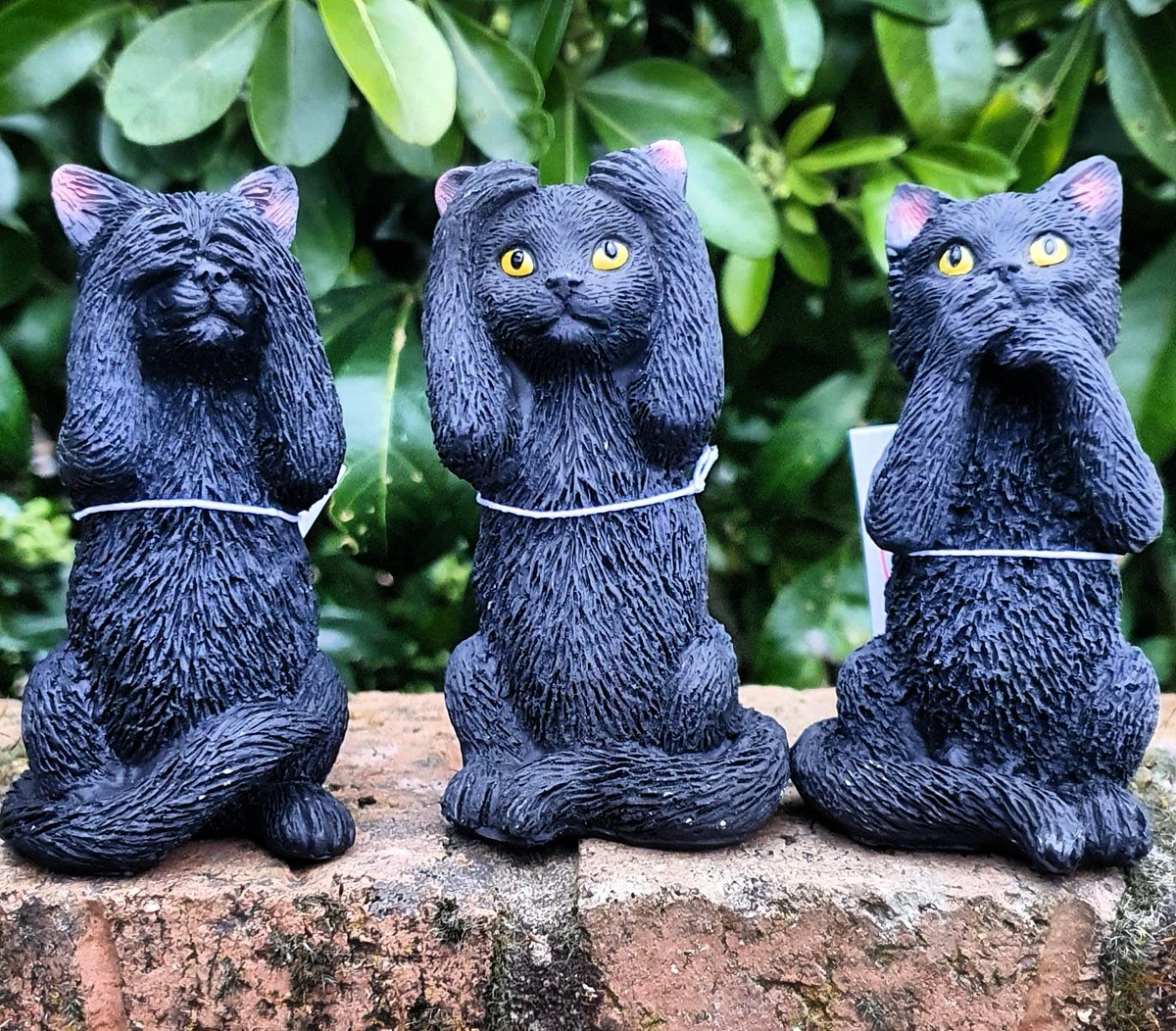 SumaronC's tweet image. See No Evil
Hear No Evil
Speak No Evil

Doesn't say anything about acting Evil hehe 😈

My @NemesisNow 3 Wise Kitties

Because you can NEVER have too many black cat ornaments