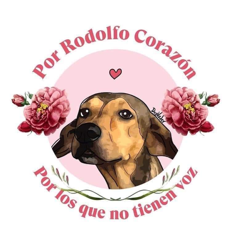 #JusticiaParaRodolfo
#justiciaparalosquenotienenvoz