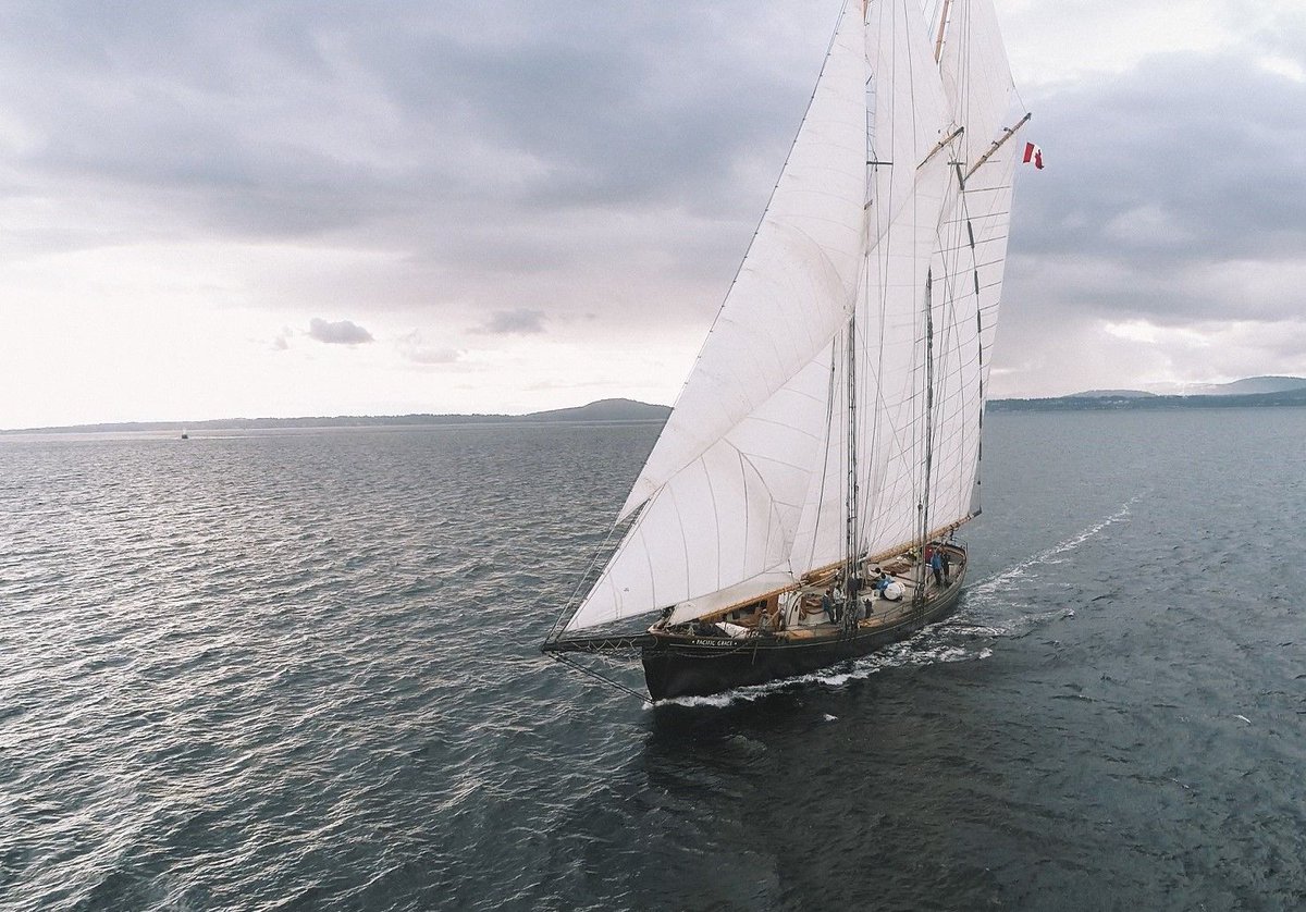 📢 The SALTS annual report for 2020 is here! 📢 Curious about what it looked like for SALTS to weather the COVID-19 changes last year? Head to buff.ly/3el3BET to read all about it (including a video from some of our crew members about their work!)

📷: Left Coast Media