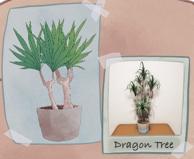 TinyMooseStudio's tweet photo. ⚠️Dragon Tree Fun Fact⚠️ 
Did you know that in Tenerife there is a Dragon Tree that is estimated to be anywhere from 650 to 3,000 years old? It could even be the oldest tree on the planet!

#indiegame #indiedev #gaming #planttwitter https://t.co/Zl1D6TR6u3