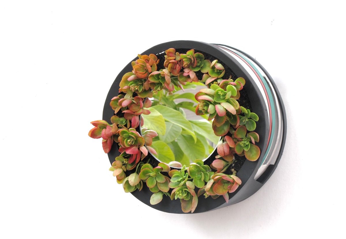 thebionicbook's tweet image. BIONIC MIRROR - GREEN CIRCULAR TECH #verticalgardens #design #bionicmirror #sustainabledesign #biomimetic #garden #greentrends #bionic #art #biomagnetic #ecosystem #floating #plants #honevodesign