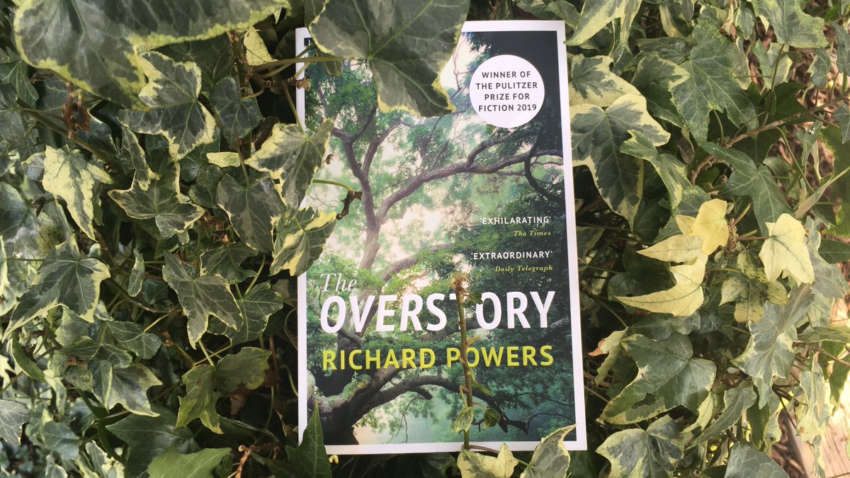Well trees are pretty damn great aren't they. #TheOverstory #currentlyreading #naturelover