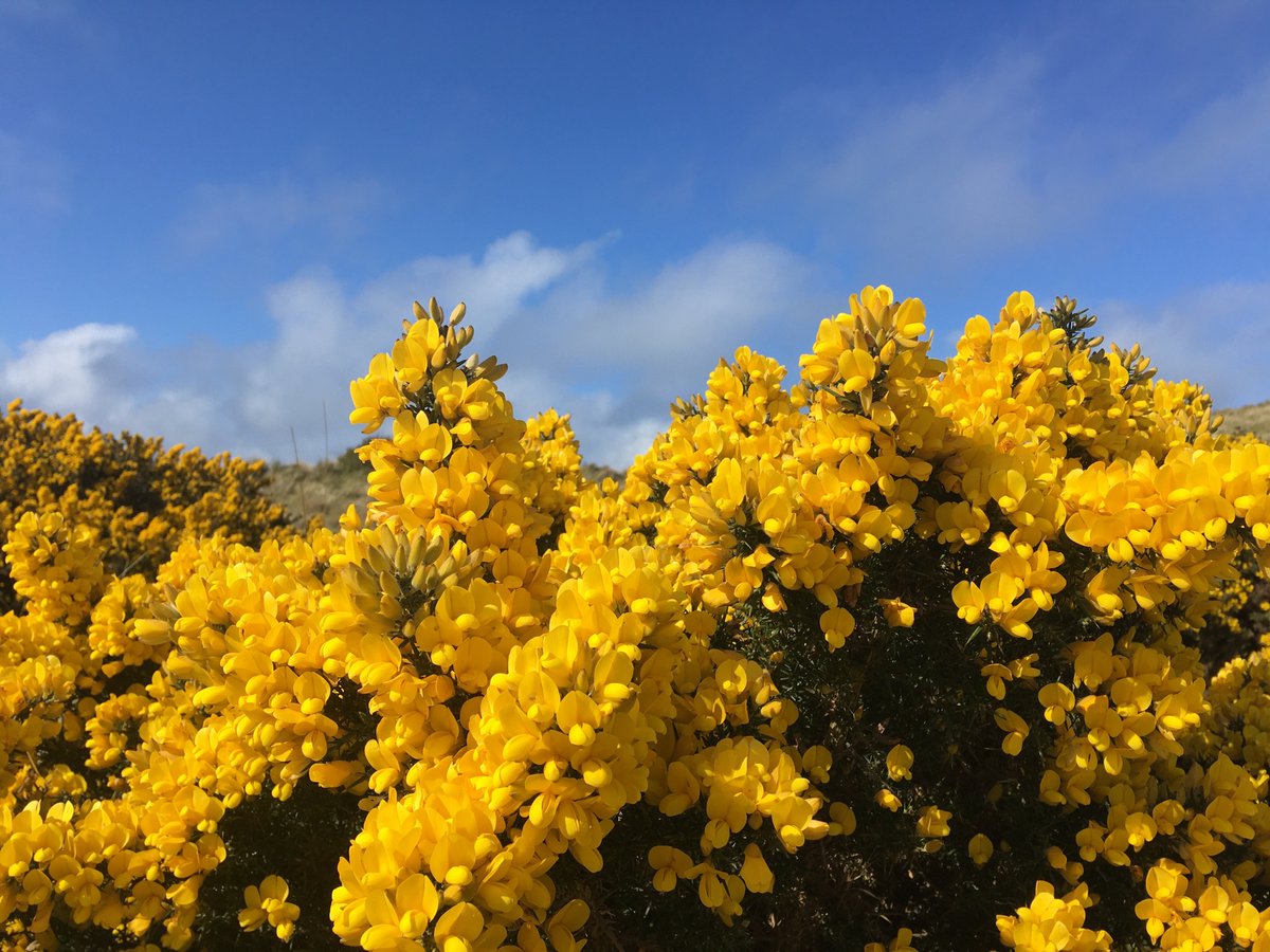 Smell that loveliness