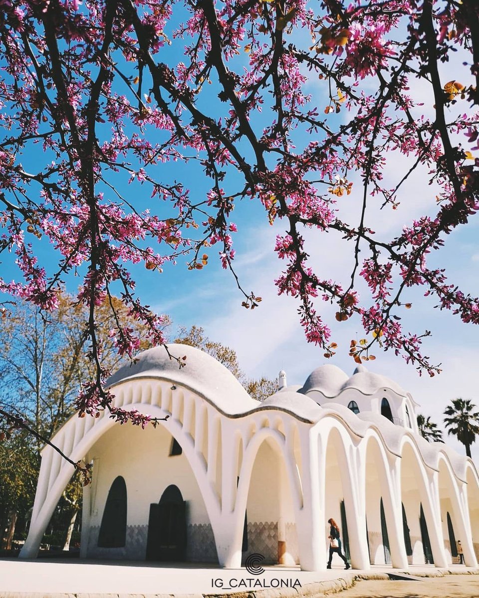 ✪ MENCIÓ DEL DIA ✪
★ AUTOR: <a href="/iagosl/">iago scardua</a> ★
★ Seleccionada per: @pepaluna71 ★ ✪ Destacant la creativitat que ens inspira ✪
👉Segueix <a href="/IG_CATALONIA/">@ig_catalonia</a>
👉Etiqueta #IG_CATALONIA