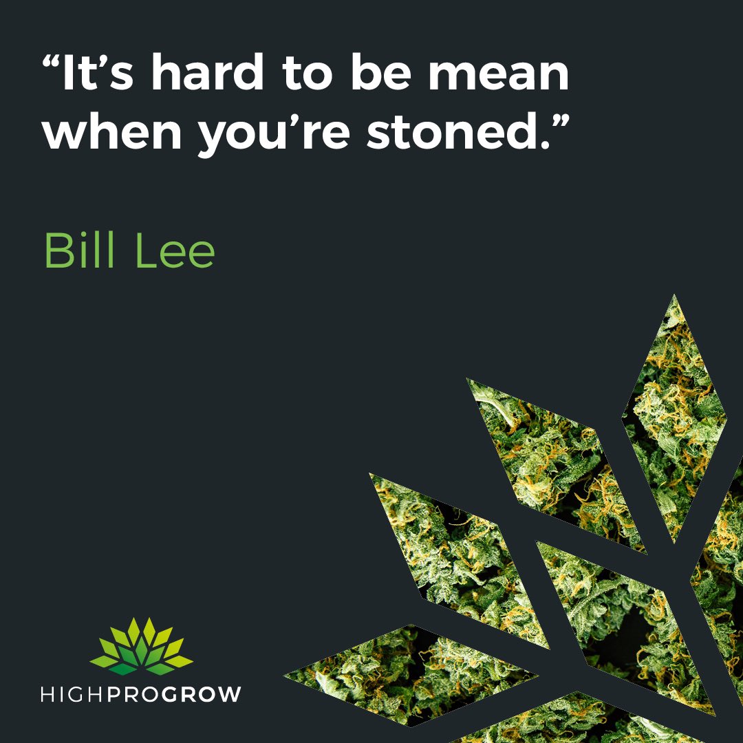 HighProGrow's tweet image. Happy #420 ☮️🌱💚

#cannabisculture #cannabis #cannabisindustry  #420day
