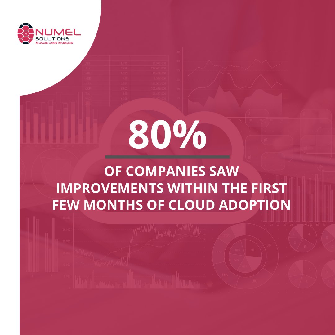 NumelSolutions tweet picture