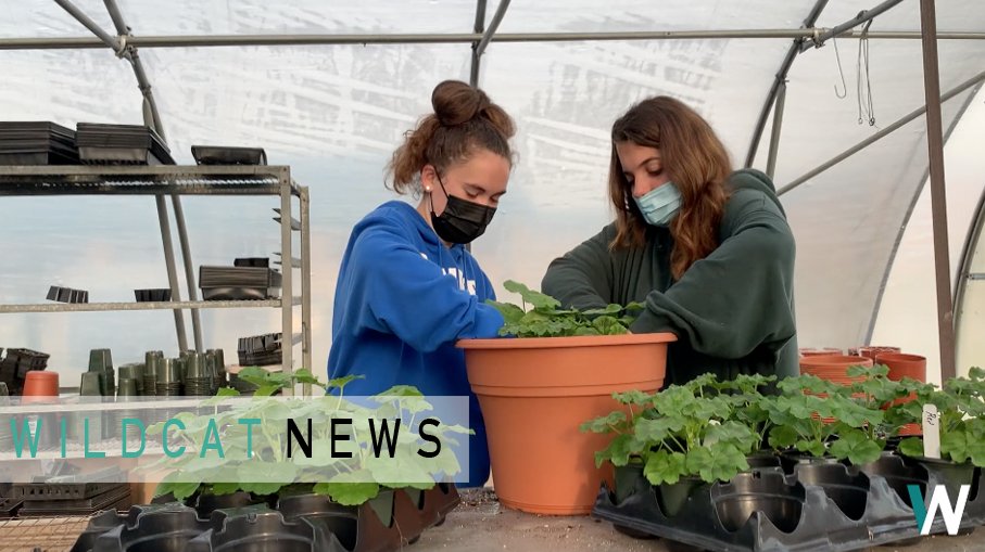 Check out this week's episode of Wildcat News, right now! youtube.com/watch?v=xl6RUJ…