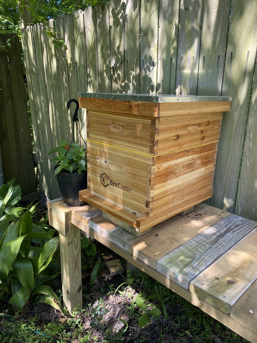 _drrody's tweet photo. Added a new beehive to our backyard to help the native bee population!  Hoping a swarm will find its new home!  #SustainableWithNiantic @NianticLabs https://t.co/M7eIURbTMo