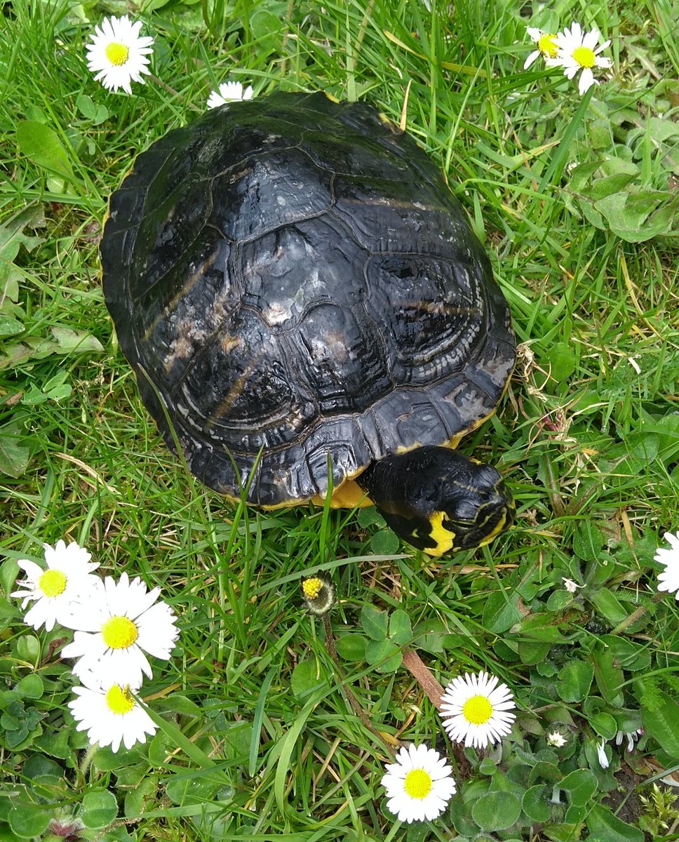 c3_toc's tweet image. So ein schöner Frühlingstag 🌞